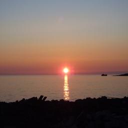 МИД заявил о приостановке &laquo;рыбного&raquo; соглашения с Японией