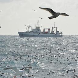 ВАРПЭ: Цифровизация &mdash; путь к снижению издержек рыбаков