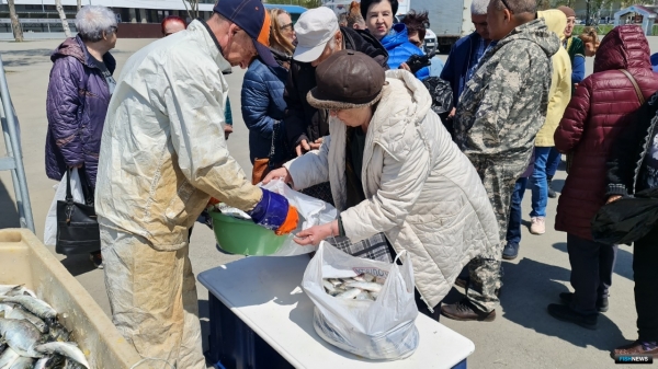 Сахалинские рыбаки активно включились в промысел перспективного объекта Сахалинские рыбаки активно включились в промысел перспективного объекта