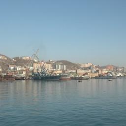 Порты закроют от международных браконьеров