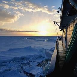 Наблюдателей для промыслов в Антарктике подготовят на семинаре