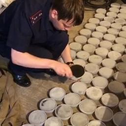 На Амуре расследуют дело о нелегальном &laquo;осетровом&raquo; бизнесе