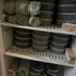 На Амуре расследуют дело о нелегальном &laquo;осетровом&raquo; бизнесе