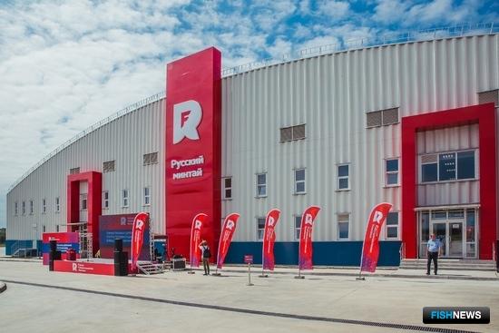 &laquo;Русский минтай&raquo; готовится пополнять рыбное меню россиян