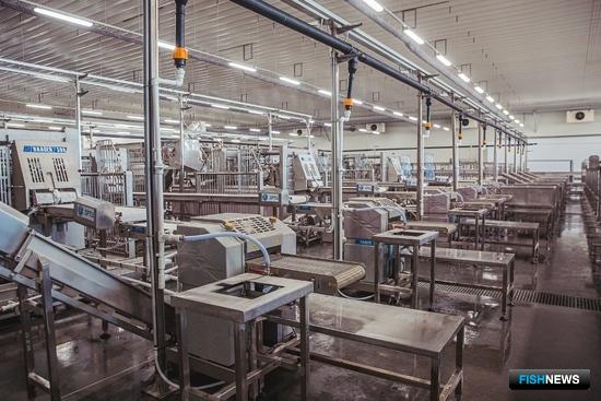 &laquo;Русский минтай&raquo; готовится пополнять рыбное меню россиян