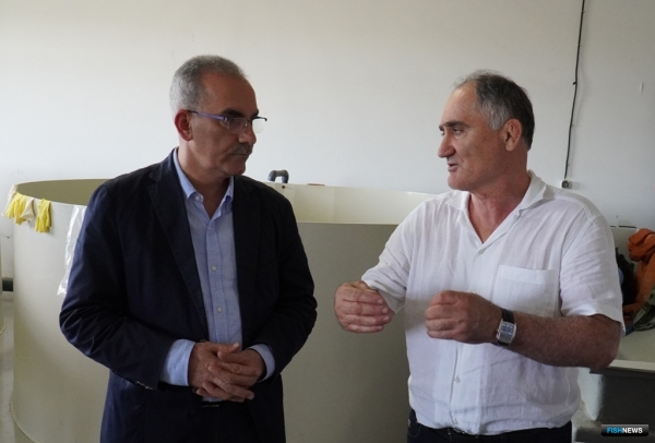 В Дагестане восстанавливают популяцию русского осетра