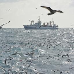 Для рыбаков готовят важные документы