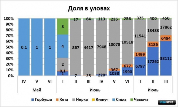 Горбуша приняла эстафету у нерки