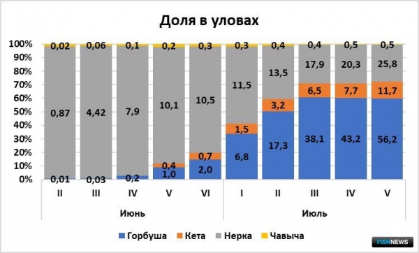 Дальний Восток прибавил в уловах горбуши Дальний Восток прибавил в уловах горбуши
