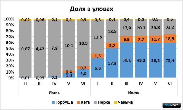 Наука рассказала о результатах лососевой путины к августу