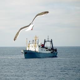Предприятиям предстоит подача важных заявлений Предприятиям предстоит подача важных заявлений