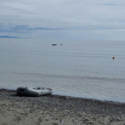 На Чукотке закрывают лососевую путину в основных районах