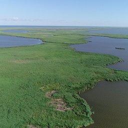 Лечение лиманов Кубани дало &laquo;рыбный&raquo; эффект