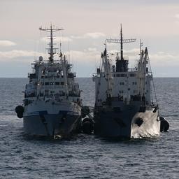 ФАО призывает сделать прозрачнее перевалки уловов