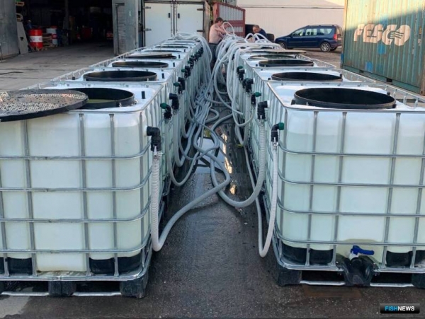 Павел Клименко: Мы готовы к новаторству