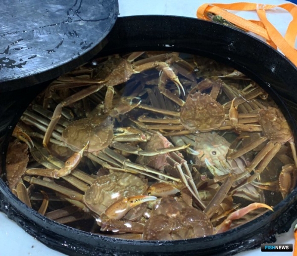 Павел Клименко: Мы готовы к новаторству