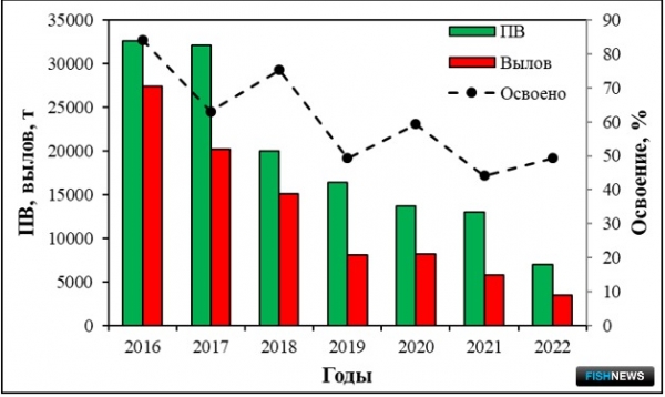 Ученые оценили миграцию амурской кеты
