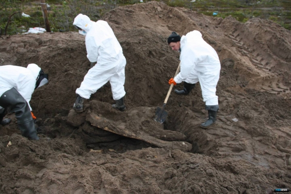 Музей &laquo;Онежского Поморья&raquo; получит скелет редкого кита