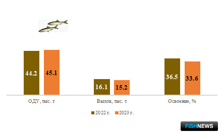 Рыбаки Балтики успешно закрывают первый квартал