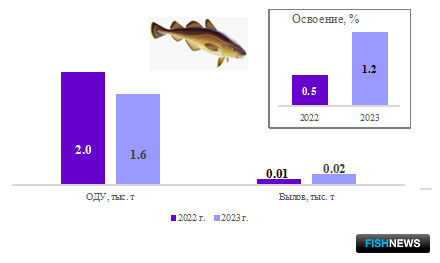 Рыбаки Балтики успешно закрывают первый квартал