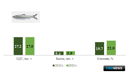 Рыбаки Балтики успешно закрывают первый квартал
