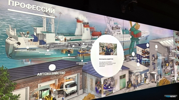 Рыбацкая летопись Камчатки: технологично и увлекательно