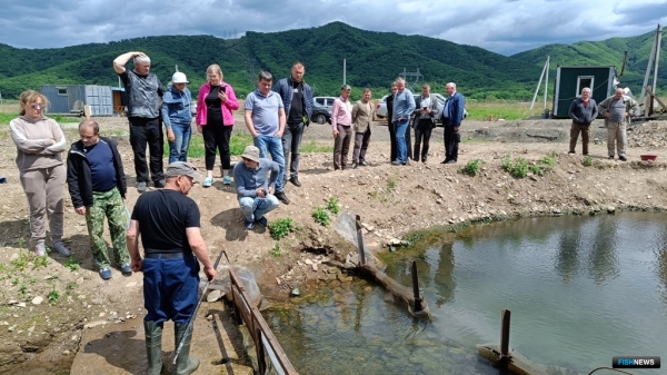 Лососевый &laquo;дебют&raquo; состоялся на Шкотовке