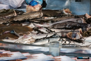 ЕЭК собирается уточнить правовой статус уловов 