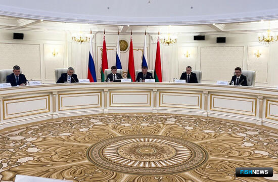 Динамика рыбного экспорта в Белоруссию порадовала Олега Кожемяко