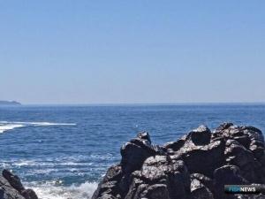 MSC упрекнули в лояльности к российским рыбакам