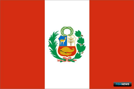 Перуанские рыбаки готовятся к промыслу анчоуса Перуанские рыбаки готовятся к промыслу анчоуса