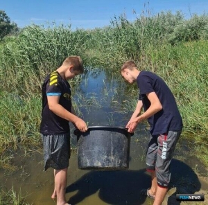 Школьники Поволжья вновь займутся спасением рыбы