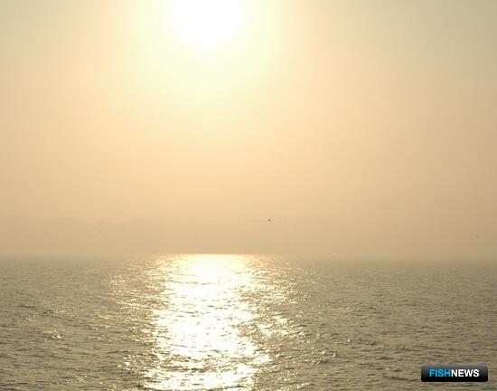 АДМ поможет пограничникам защищать рыбные запасы