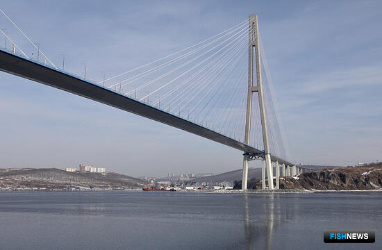 В этом году Приморье планирует поднять со дна восемь бесхозных судов В этом году Приморье планирует поднять со дна восемь бесхозных судов