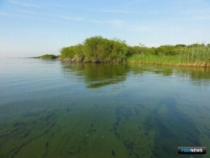 Переполнением озера Ханка озаботились в Совфеде
