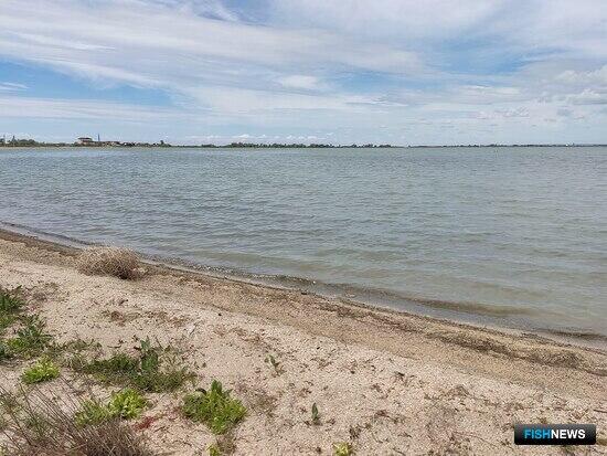 Участки на озерах Крыма подготовили под промысел Участки на озерах Крыма подготовили под промысел