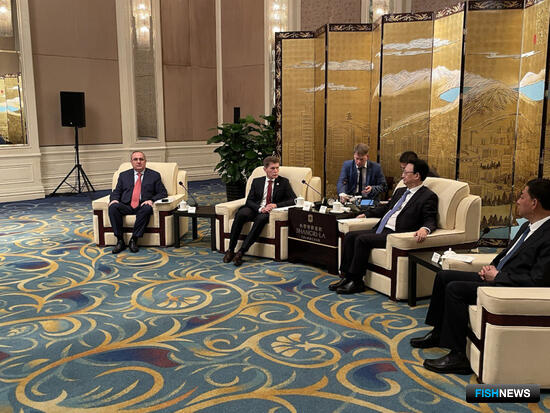 Власти Приморья предложили Китаю создать терминал в Краскино Власти Приморья предложили Китаю создать терминал в Краскино