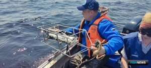 Ученые оценили условия жизни рыб в озере Ильмень