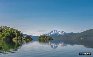 Специалисты продолжают изучать обитателей заповедных вод Камчатки