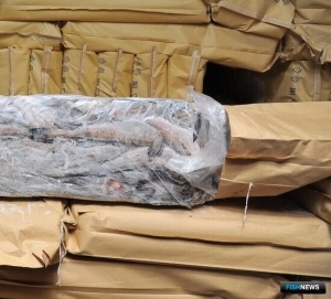 Россельхознадзор напомнил экспортерам о сроках по работе с CIFER