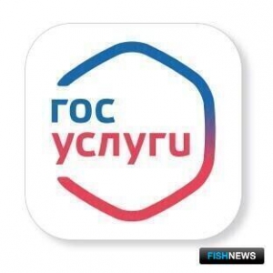 Эксперименту по упрощенной выдаче лицензий дали больше времени