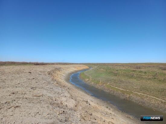 Волжской рыбе расчищают путь Волжской рыбе расчищают путь