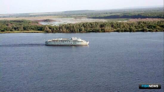 Раков Удмуртии распределят среди пользователей Раков Удмуртии распределят среди пользователей