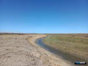 Волжской рыбе расчищают путь