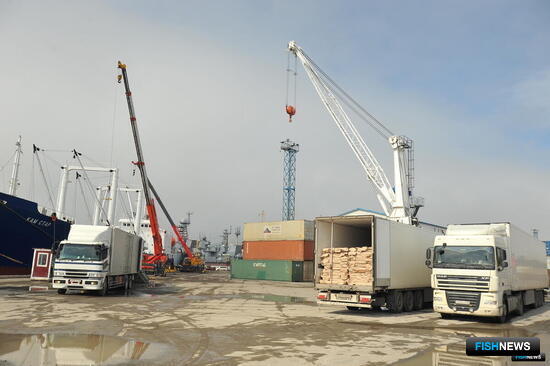 Проекты в рыбной логистике поддержат льготными финансами