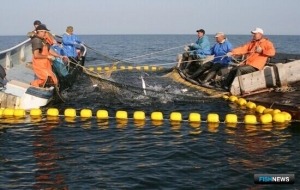 Специальная рабочая группа может помочь сахалинским рыбакам