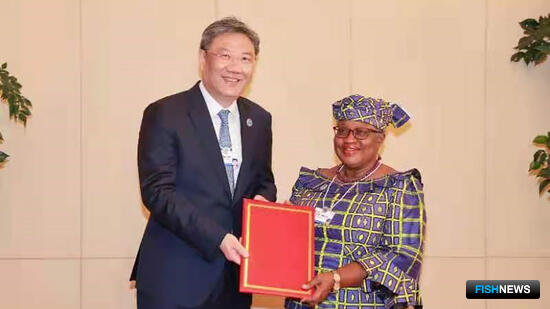 К соглашению ВТО о рыбацких субсидиях присоединился Китай