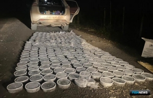 Браконьерская икра не доехала до адресата