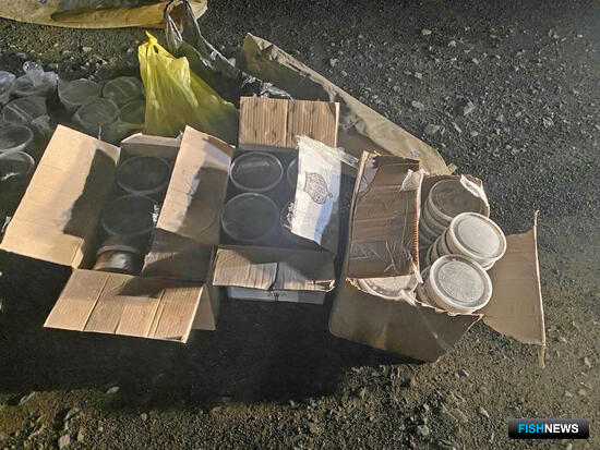 Браконьерская икра не доехала до адресата