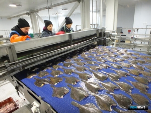 Переработка, порты и рост потребления: на Камчатке готовят стратегию развития отрасли до 2035 г.